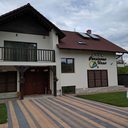 Hotel Pensiunea Ursa Bistrita Bargaului Esterno foto
